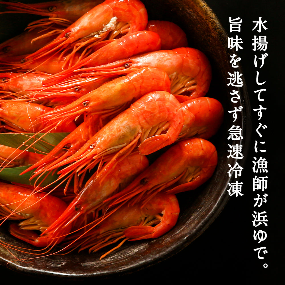 北海シマエビ 大 250g 目安12尾前後 北海道産 新鮮な素材の甘みと塩加減にこだわった極上逸品！シマエビ 海老 しまえび