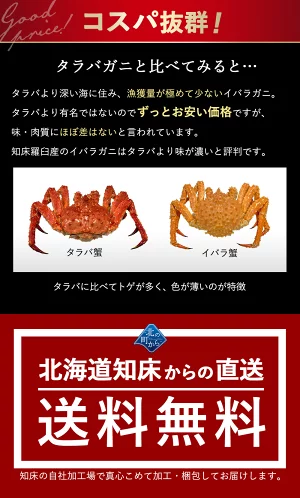タラバガニより味が濃いと評判の 北海道 知床・羅臼産 イバラガニ！ 足ボイル冷凍 800g(1肩)茨蟹 茨ガニ いばらがに 蟹 カニ かに タラバガニ タラバ蟹 たらばがに