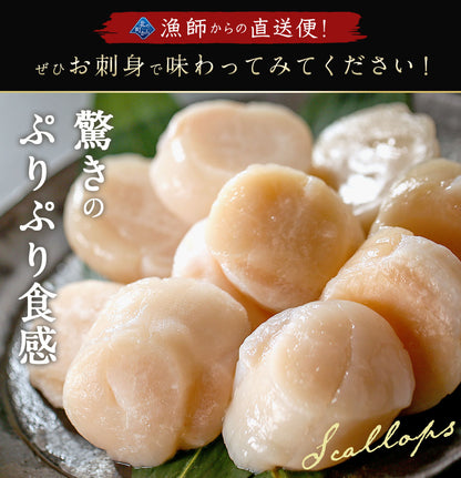 北海道 オホーツク産 ホタテ 800g ホタテ玉冷凍 大粒込み 新鮮なホタテならではの強い甘み、ぷりぷりとした食感をご堪能ください！ 帆立 ほたて ホタテ貝柱
