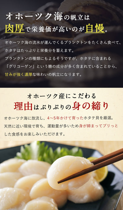 北海道 オホーツク産 ホタテ 800g ホタテ玉冷凍 大粒込み 新鮮なホタテならではの強い甘み、ぷりぷりとした食感をご堪能ください！ 帆立 ほたて ホタテ貝柱