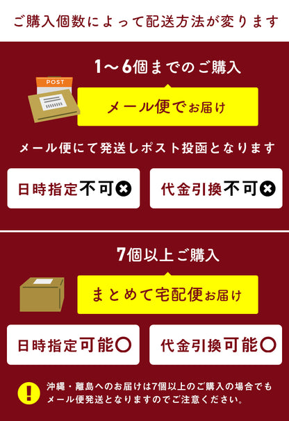 漁師が作る鮭とば 100g 北海道産 鮭とば 1000円ポッキリ 鮭トバ さけとば しゃけとば とば 干物 おつまみ グルメ【送料無料】【メール便】【注文後1~2カ月前後で出荷】