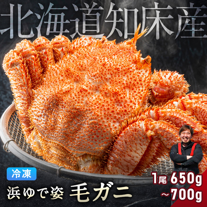 毛ガニ 希少な知床産 650g～700g 【浜茹で急速冷凍 姿】 採れたての毛蟹を新鮮なうちに浜茹でに！ 毛蟹 毛カニ 毛かに 毛がに カニ 蟹 北海道