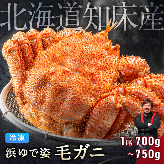 毛ガニ 希少な知床産 700g～750g 【浜茹で急速冷凍 姿】 採れたての毛蟹を新鮮なうちに浜茹でに！ 毛蟹 毛カニ 毛かに 毛がに カニ 蟹 北海道