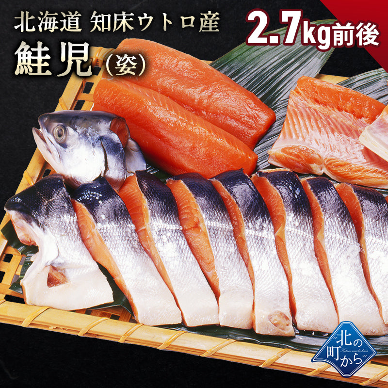 幻の鮭 鮭児 姿 北海道 知床ウトロ産 けいじ ケイジ 高級魚