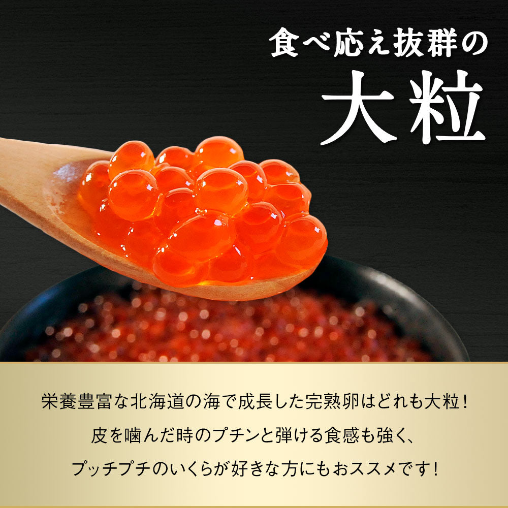 訳あり鮭いくら 醤油漬け 600g 北海道産 いくら 鮭いくら 鮭卵 訳アリ わけあり