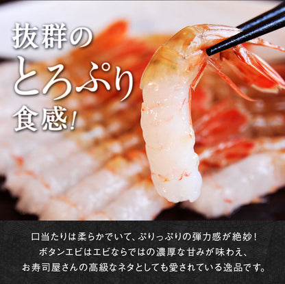 ボタンエビ 中500g 目安18尾前後 北海道 知床・羅臼産