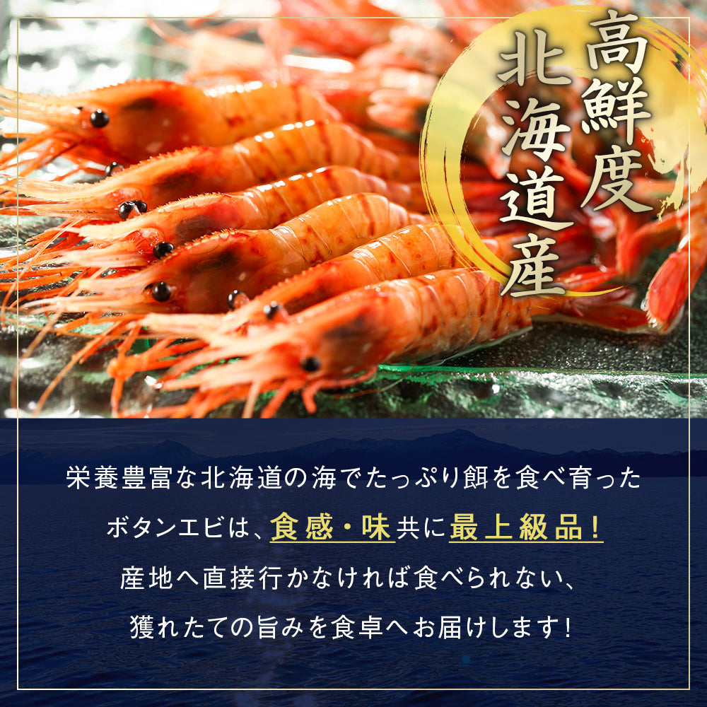 ボタンエビ 中500g 目安18尾前後 北海道 知床・羅臼産