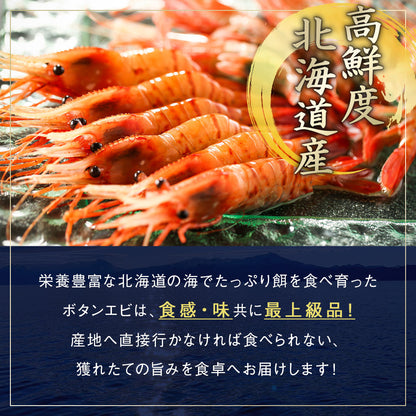 ボタンエビ 中500g 目安18尾前後 北海道 知床・羅臼産