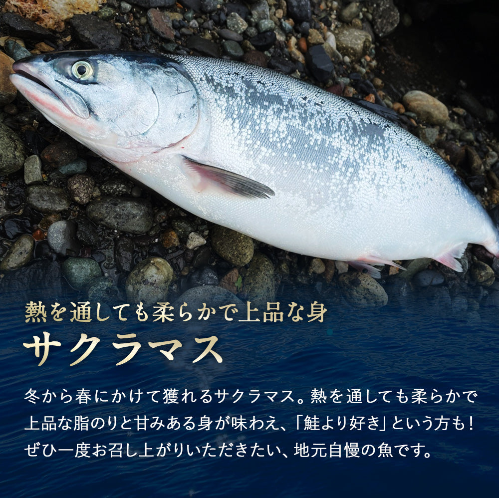 サクラマス 北海道 知床・羅臼産 半身 300g前後 鱒 ます マス 天然 産地直送