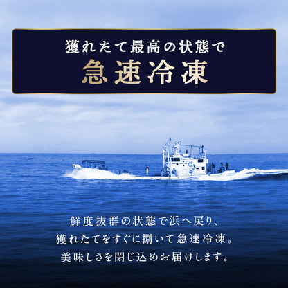 サクラマス 北海道 知床・羅臼産 半身 300g前後 鱒 ます マス 天然 産地直送