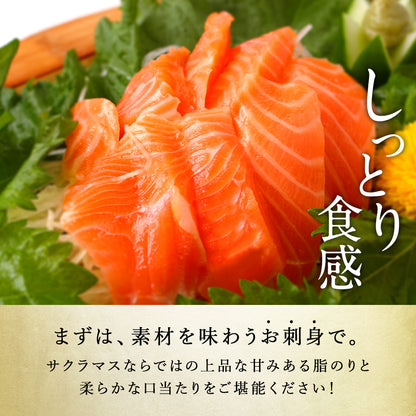 サクラマス 北海道 知床・羅臼産 半身 300g前後 鱒 ます マス 天然 産地直送