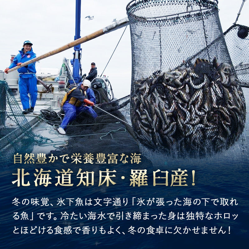 コマイ 丸干し 北海道 知床・羅臼産 3尾 総重量250g前後 こまい 氷下魚 かんかい 魚 干物 珍味 おつまみ