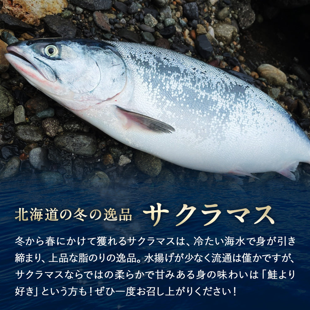 訳あり サクラマス 半身フィレー 北海道 知床・羅臼産 300g〜350g前後 鱒 ます マス 天然 産地直送