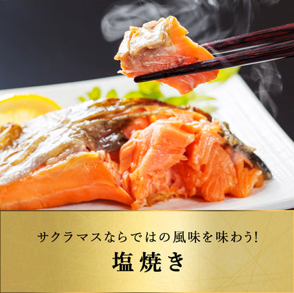 訳あり サクラマス 半身フィレー 北海道 知床・羅臼産 300g〜350g前後 鱒 ます マス 天然 産地直送
