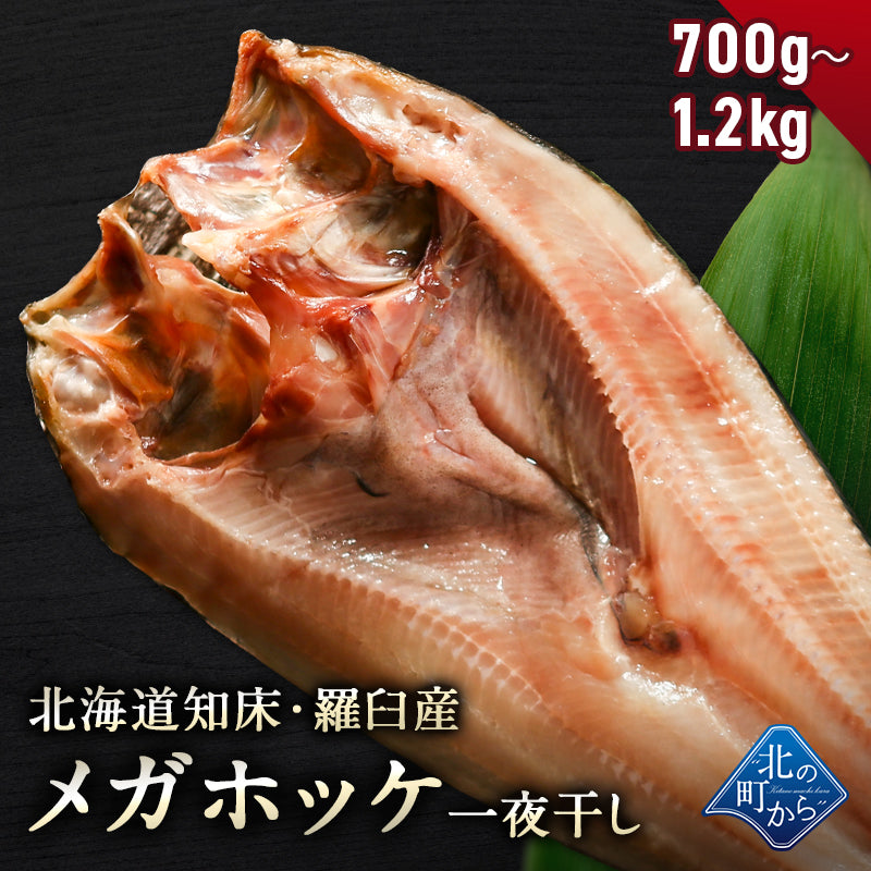 北海道 知床・羅臼産 メガホッケ 一夜干し 700g〜1.2kg 弊店のホッケはすべて脂の乗った真ホッケ！ ほっけ ホッケ 真ほっけ 羅臼ホッケ 干物 魚 開き 手造り お取り寄せ グルメ バーベキュー BBQ  国産 特大 超特大 メガサイズ