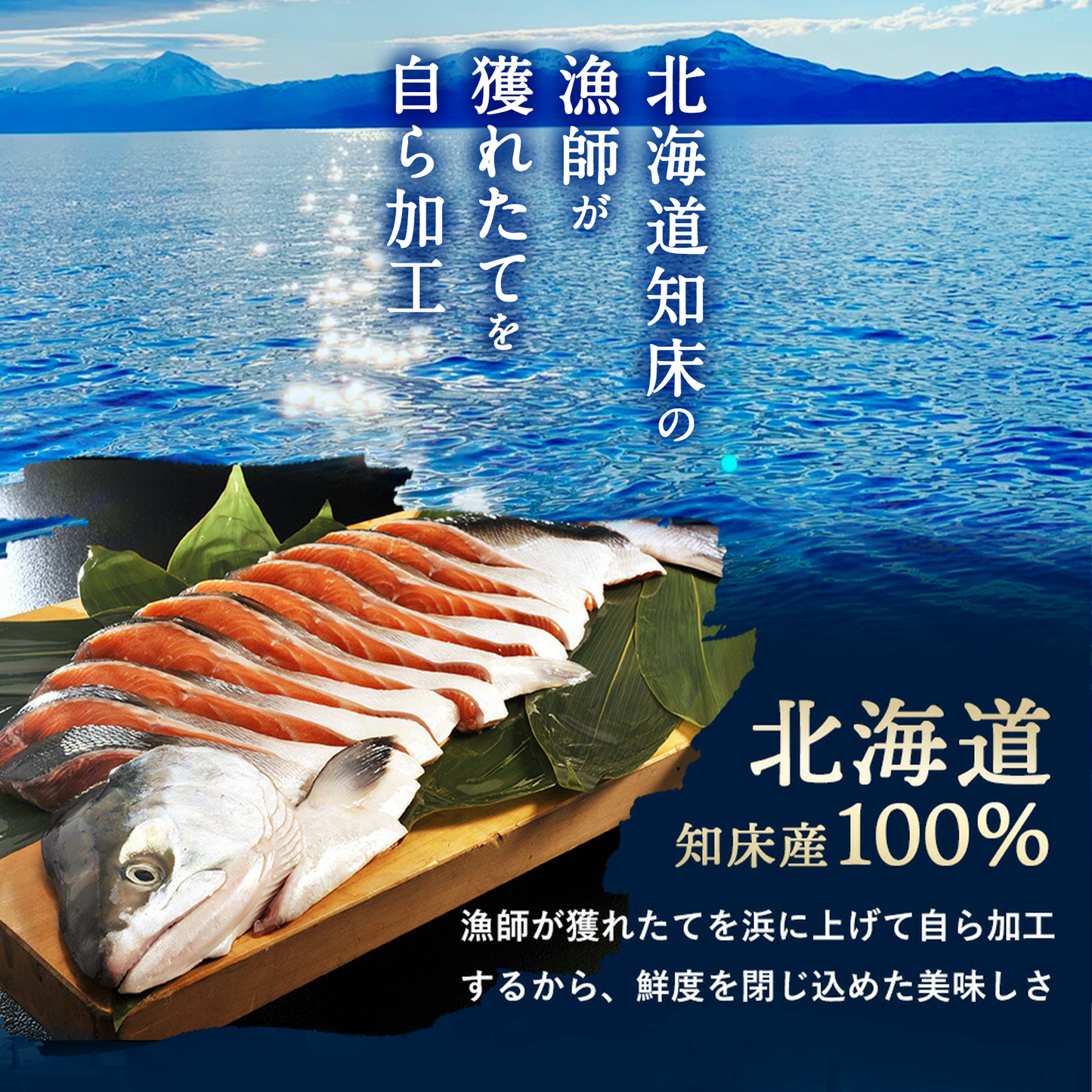 漁師が作る鮭とば 100g 北海道産 鮭とば 1000円ポッキリ 鮭トバ さけとば しゃけとば とば 干物 おつまみ グルメ【送料無料】【メール便】【注文後1~2カ月前後で出荷】
