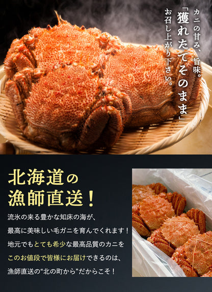 毛ガニ 希少な知床産 650g～700g 【浜茹で急速冷凍 姿】 採れたての毛蟹を新鮮なうちに浜茹でに！ 毛蟹 毛カニ 毛かに 毛がに カニ 蟹 北海道
