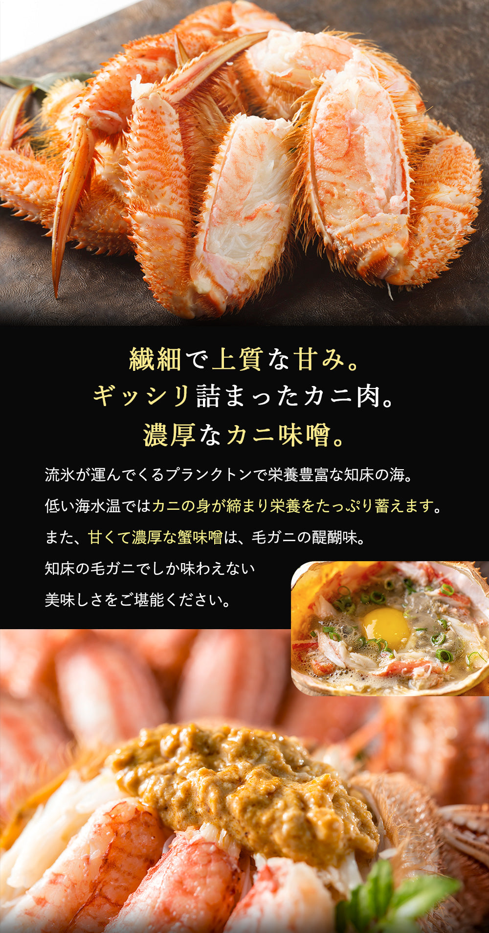 毛ガニ 希少な知床産 650g～700g 【浜茹で急速冷凍 姿】 採れたての毛蟹を新鮮なうちに浜茹でに！ 毛蟹 毛カニ 毛かに 毛がに カニ 蟹 北海道