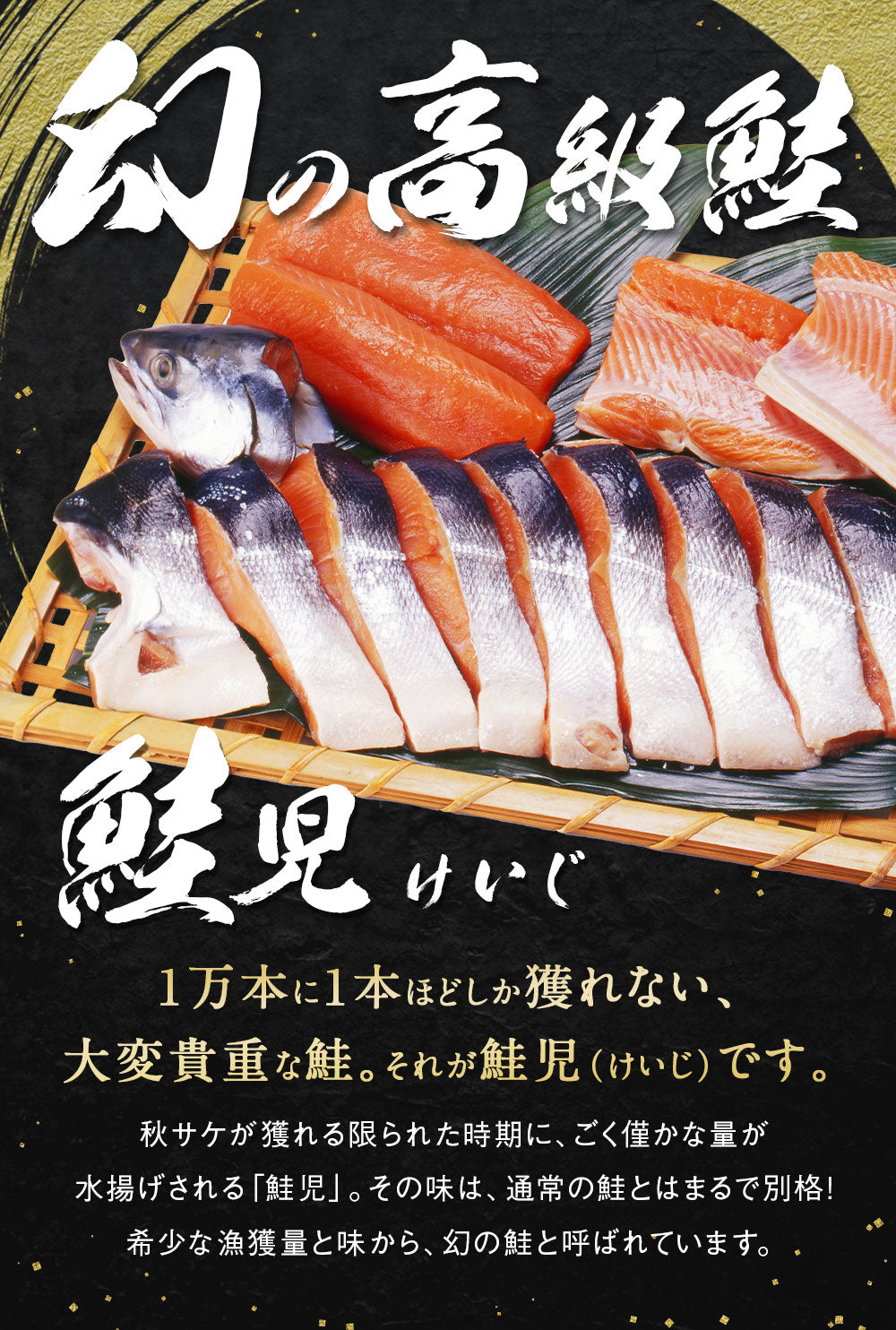 幻の鮭 鮭児 姿 北海道 知床ウトロ産 けいじ ケイジ 高級魚