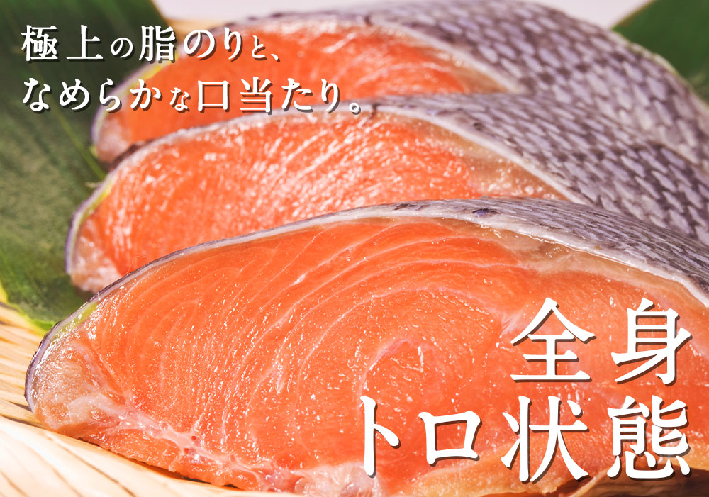 幻の鮭 鮭児 姿 北海道 知床ウトロ産 けいじ ケイジ 高級魚