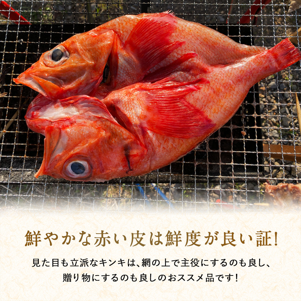 キンキ 北海道 知床・羅臼産 キンキ一夜干し プレミアムサイズ 550g〜600g 「美味い魚を食べたい」ならキンキ一夜干し！ きんき メンメ めんめ 吉次 魚 干物 焼魚 魚介類 開き 高級魚 ギフト プレゼント 贈答用  産地直送