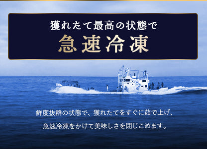 タラバガニ ボイル 剥き身 北海道オホーツク海産 250g×4個セット（計1kg） 栄養価の高い身の引き締まったタラバガニ むき身 たらばがに 蟹 カニ かに