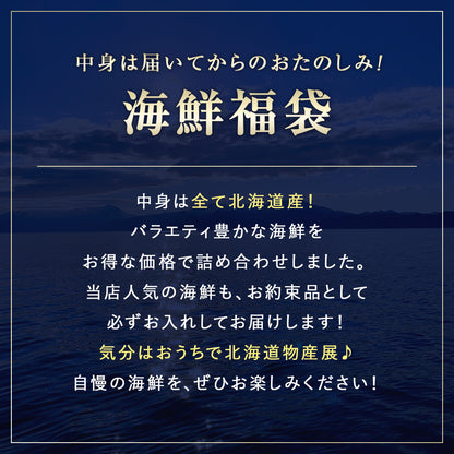 北海道海鮮福袋 梅セット 全5品3,980円！【たらこ(切れ子)200ｇまたは明太子(切れ子)200g＋他4品】