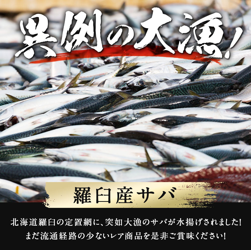 サバ半身 一夜干し 大サイズ 5枚前後 総重量1.3kg前後 北海道 知床・羅臼産  鯖 さば 干物 国産 天然 真空パック 焼魚 おかず ご飯のお供 お取り寄せ 冷凍 送料無料
