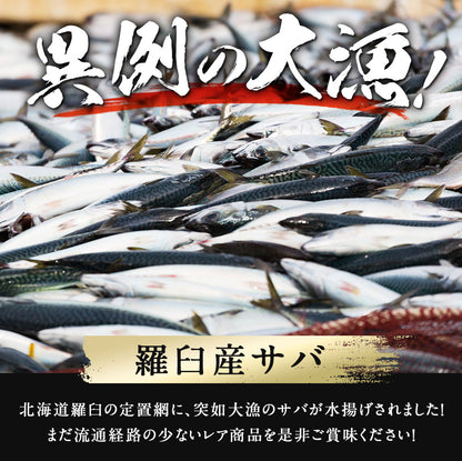 サバ半身 一夜干し 大サイズ 5枚前後 総重量1.3kg前後 北海道 知床・羅臼産  鯖 さば 干物 国産 天然 真空パック 焼魚 おかず ご飯のお供 お取り寄せ 冷凍 送料無料