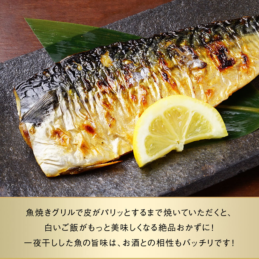 サバ半身 一夜干し 大サイズ 5枚前後 総重量1.3kg前後 北海道 知床・羅臼産  鯖 さば 干物 国産 天然 真空パック 焼魚 おかず ご飯のお供 お取り寄せ 冷凍 送料無料