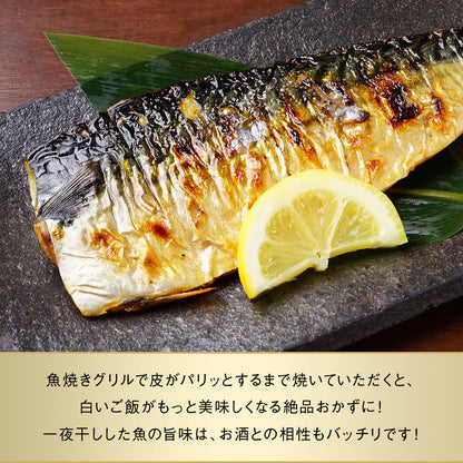 サバ半身 一夜干し 大サイズ 5枚前後 総重量1.3kg前後 北海道 知床・羅臼産  鯖 さば 干物 国産 天然 真空パック 焼魚 おかず ご飯のお供 お取り寄せ 冷凍 送料無料