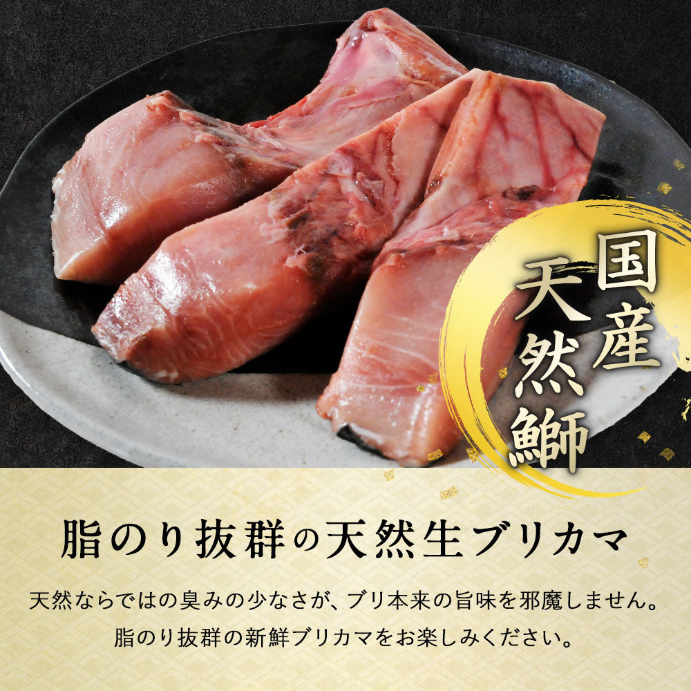 北海道 知床・羅臼産 ブリカマ 10枚 ぶりかま ブリ 鰤
