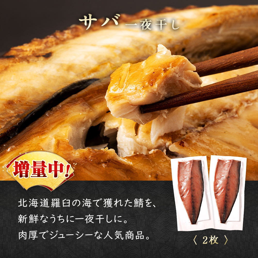 北海道産 干物・西京漬セット【上】全7種 キンキ西京漬け/ホッケ一夜干し/サバ一夜干し/ホッケスティック/ナメタガレイ一夜干し/ブリカマ/イカ一夜干し お取り寄せ グルメ ギフト プレゼント 内祝い 国産 無添加