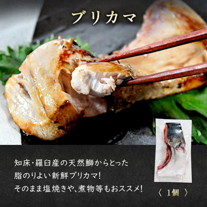 北海道産 干物・西京漬セット【上】全7種 キンキ西京漬け/ホッケ一夜干し/サバ一夜干し/ホッケスティック/ナメタガレイ一夜干し/ブリカマ/イカ一夜干し お取り寄せ グルメ ギフト プレゼント 内祝い 国産 無添加