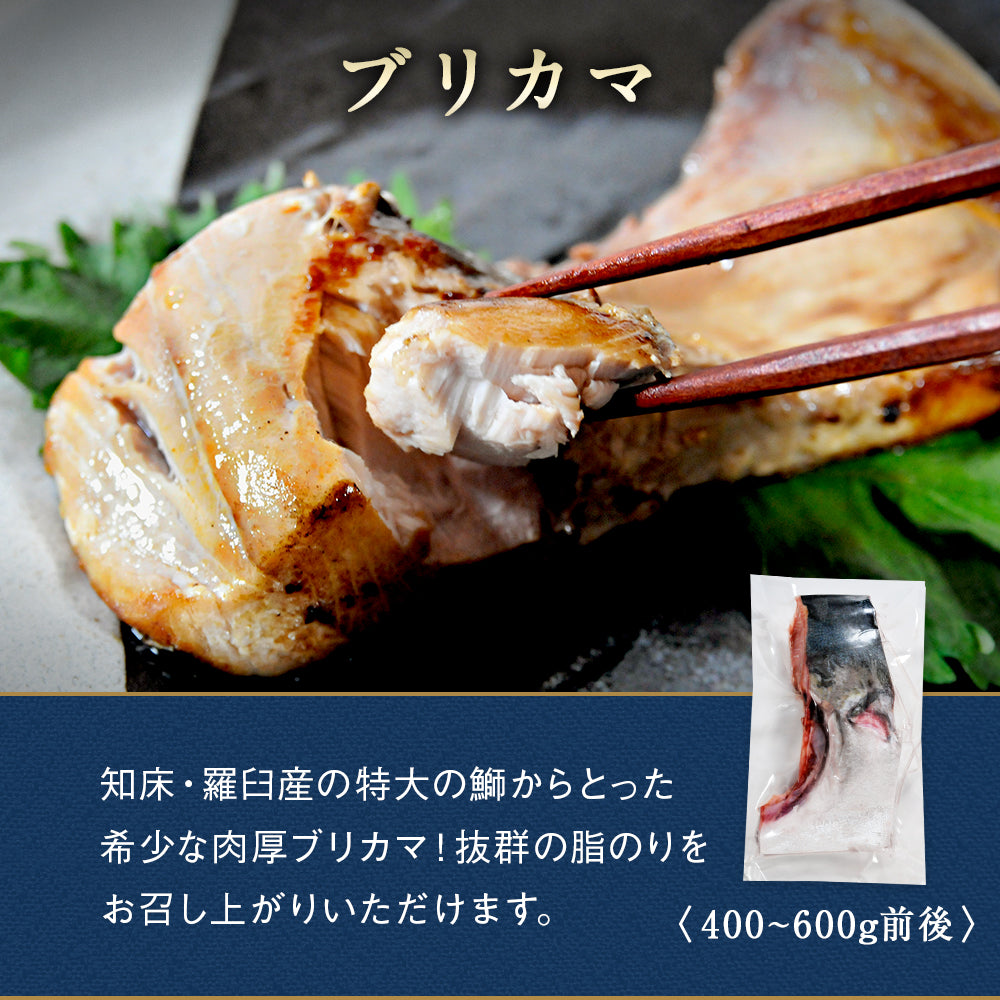 北海道 海鮮ギフトセット〜大盛丸〜 全7品 5,980円！【北海道 知床・羅臼の海鮮 詰め合わせ おつまみ 魚 海鮮 プレゼント 誕生日 内祝い 敬老の日 50代 60代 70代 80代 国産 冷凍 送料無料】